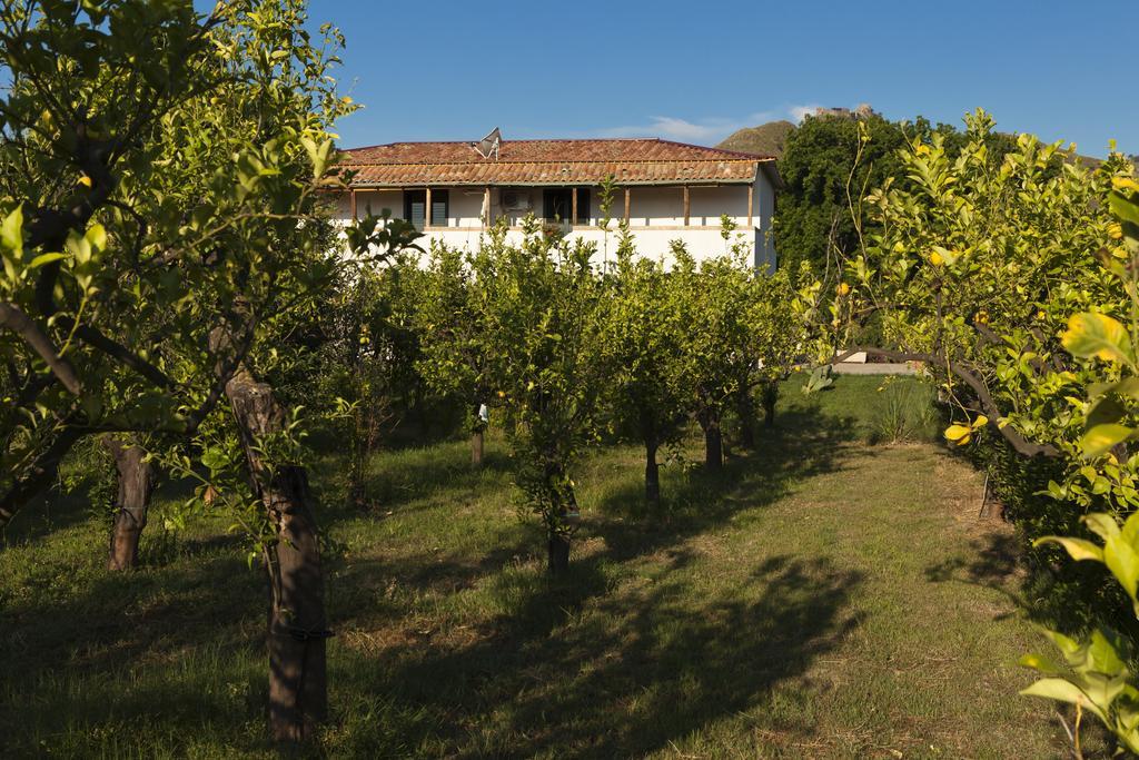Agriturismo Terrenia Villa Trappitello Bagian luar foto