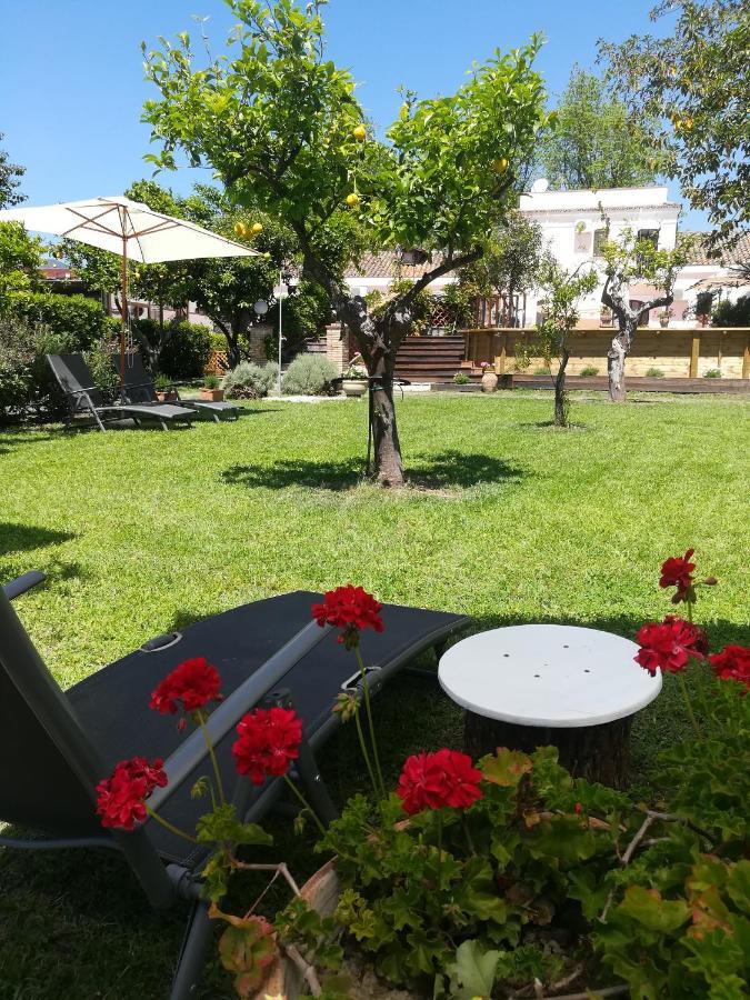 Agriturismo Terrenia Villa Trappitello Bagian luar foto